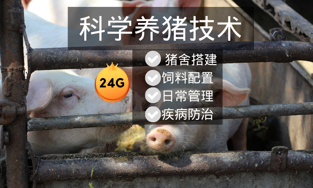 养猪技术教程大全套视频教学 养殖饲养管理技能自学