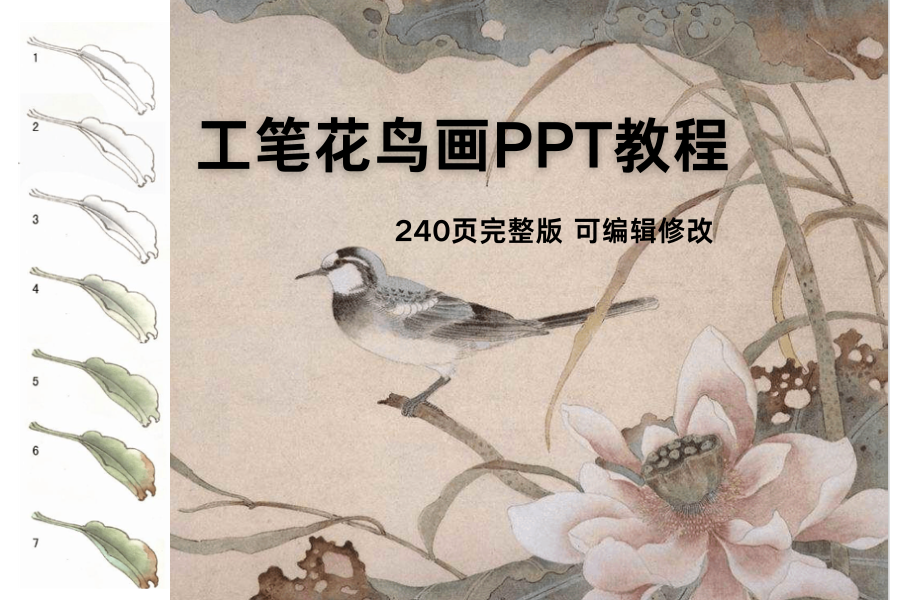 240页超详细工笔花鸟画PPT教程，带你从入门到精通